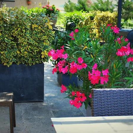 Terre De Bacchus Bed & Breakfast Vacqueyras Exterior photo