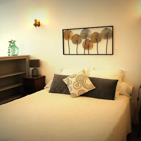 Terre De Bacchus Bed & Breakfast Vacqueyras Exterior photo