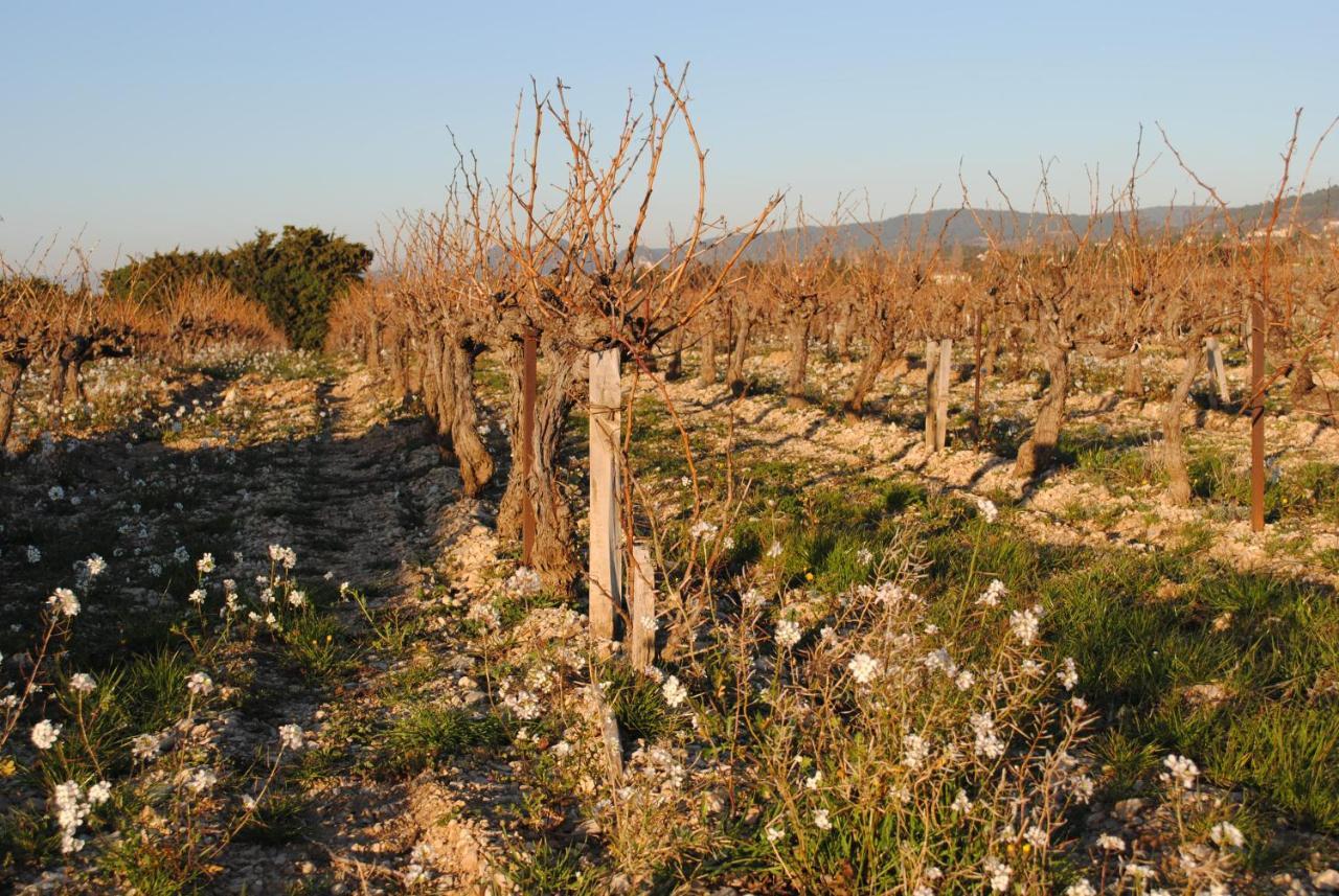 Terre De Bacchus Bed and breakfast *