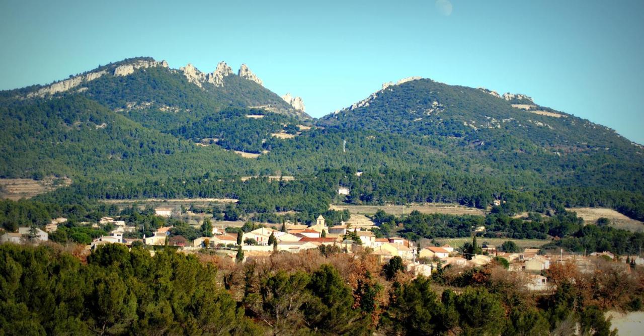 Terre De Bacchus *