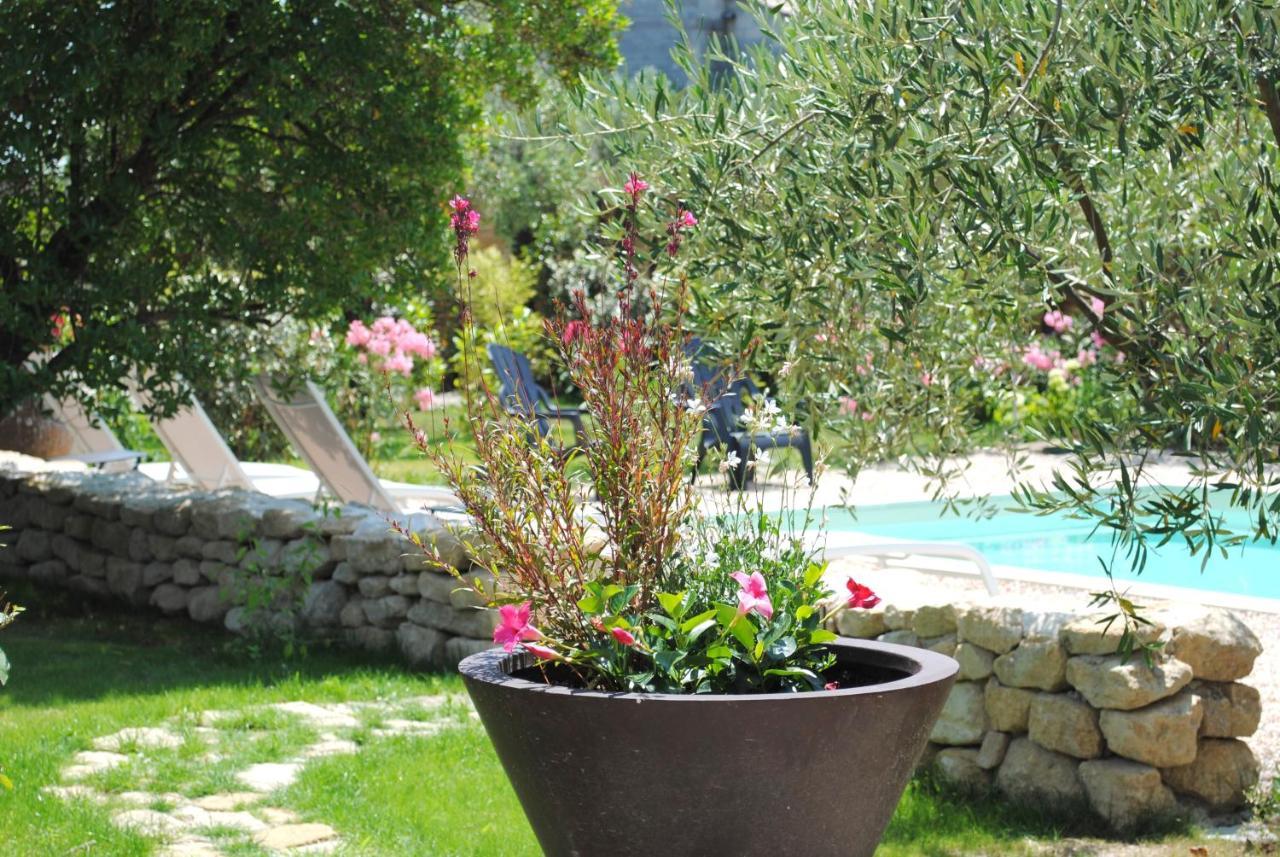 Bed and breakfast Terre De Bacchus