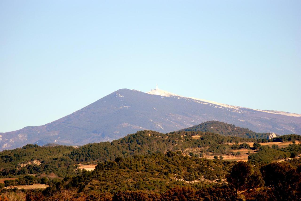 Terre De Bacchus
