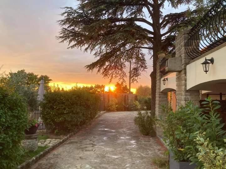 Bed and breakfast Terre De Bacchus Vacqueyras