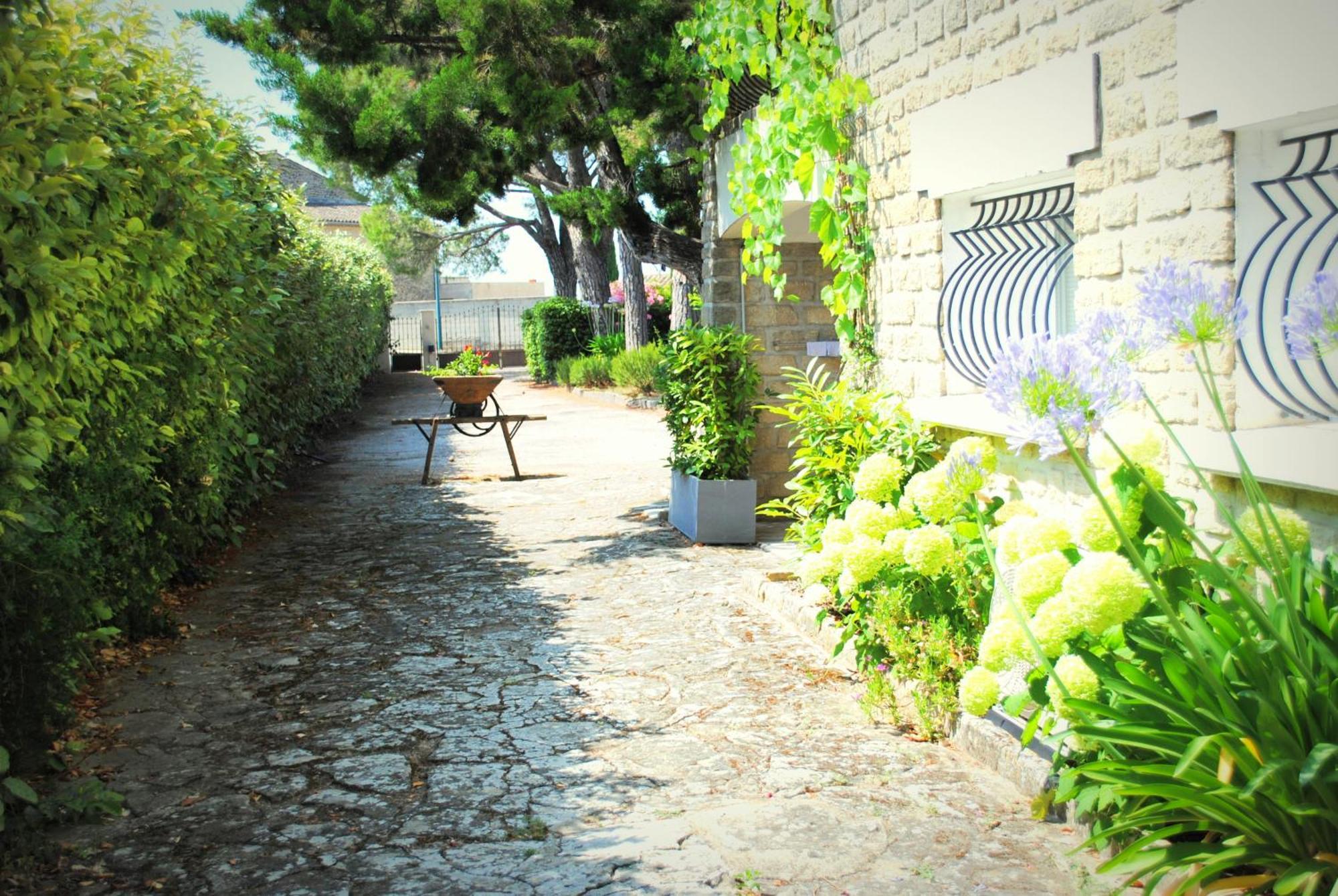 Terre De Bacchus