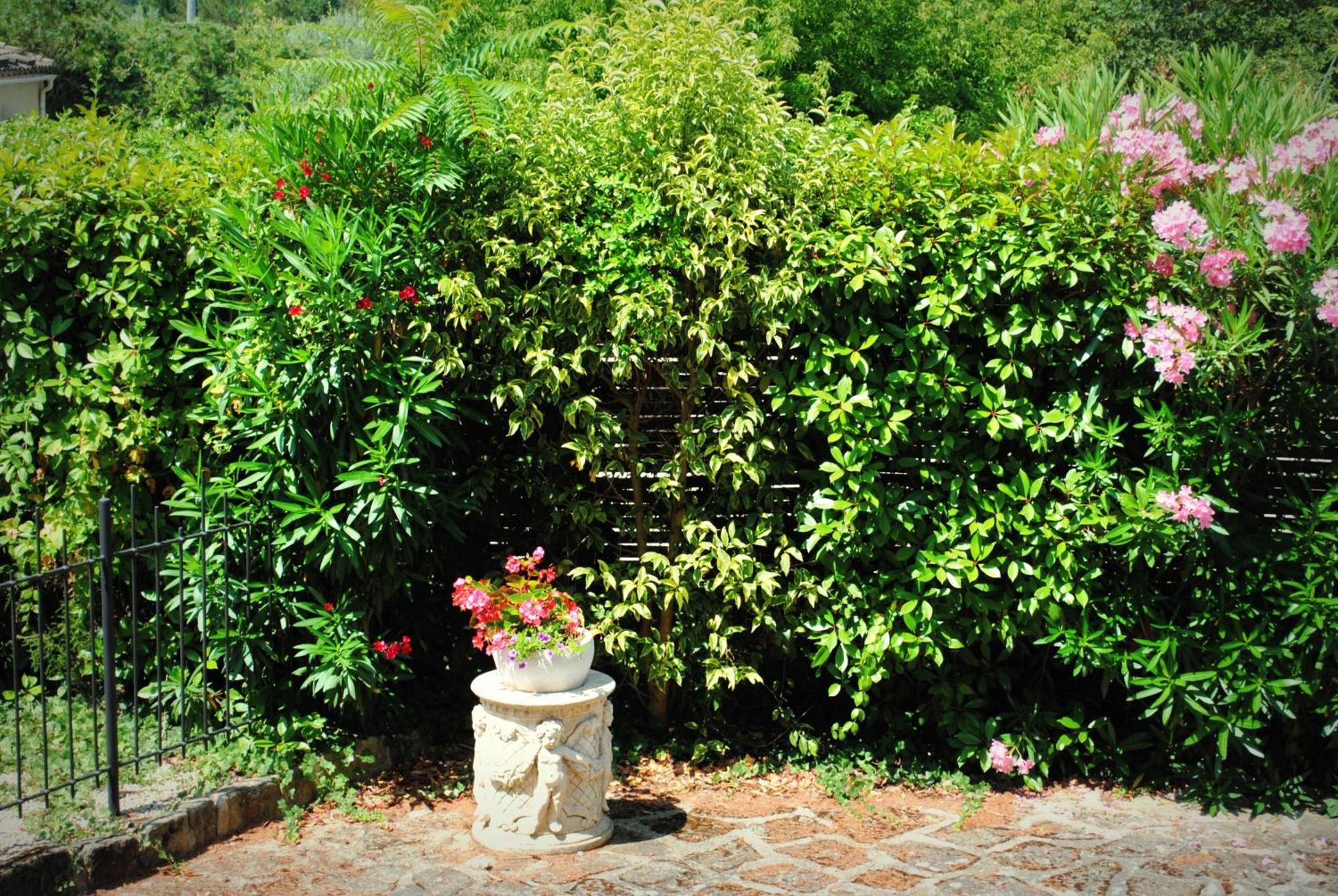 Terre De Bacchus